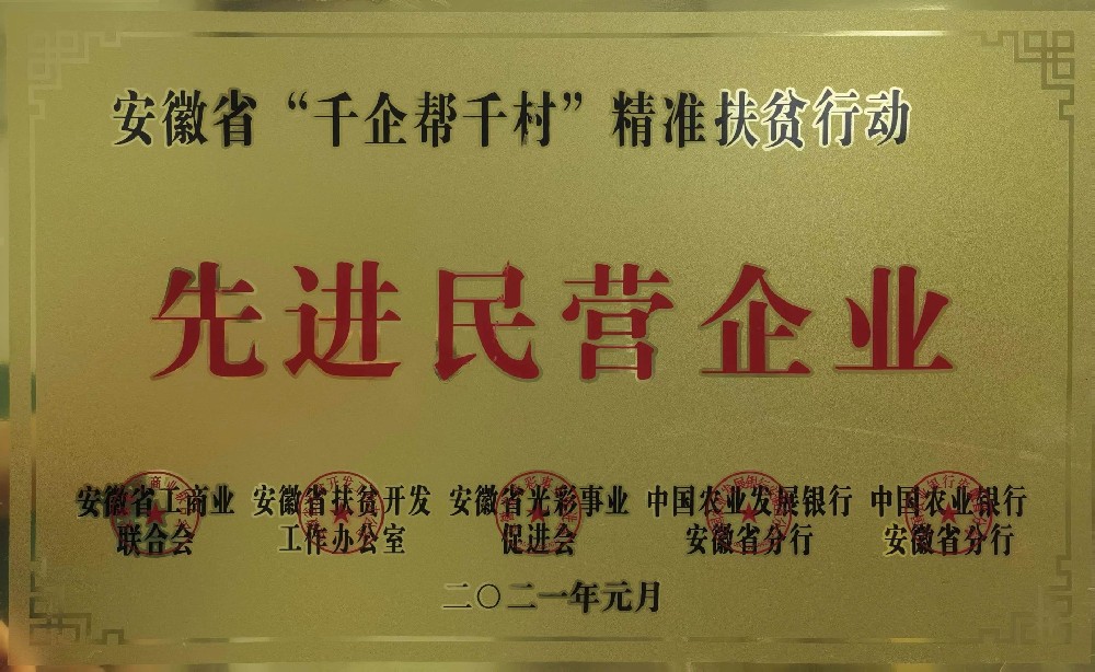 省”千企幫千村“精準扶貧行動先進民營企業(yè)